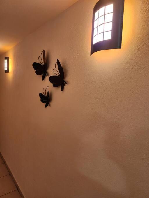 Apartament Departamento De Lujo. Seguridad 24. Playa A Pasos. Acapulco Zewnętrze zdjęcie